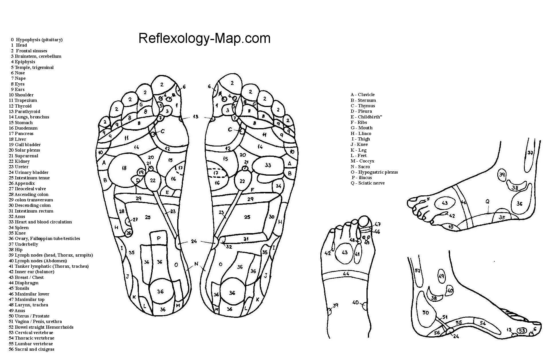 Feet-Reflexology-Map