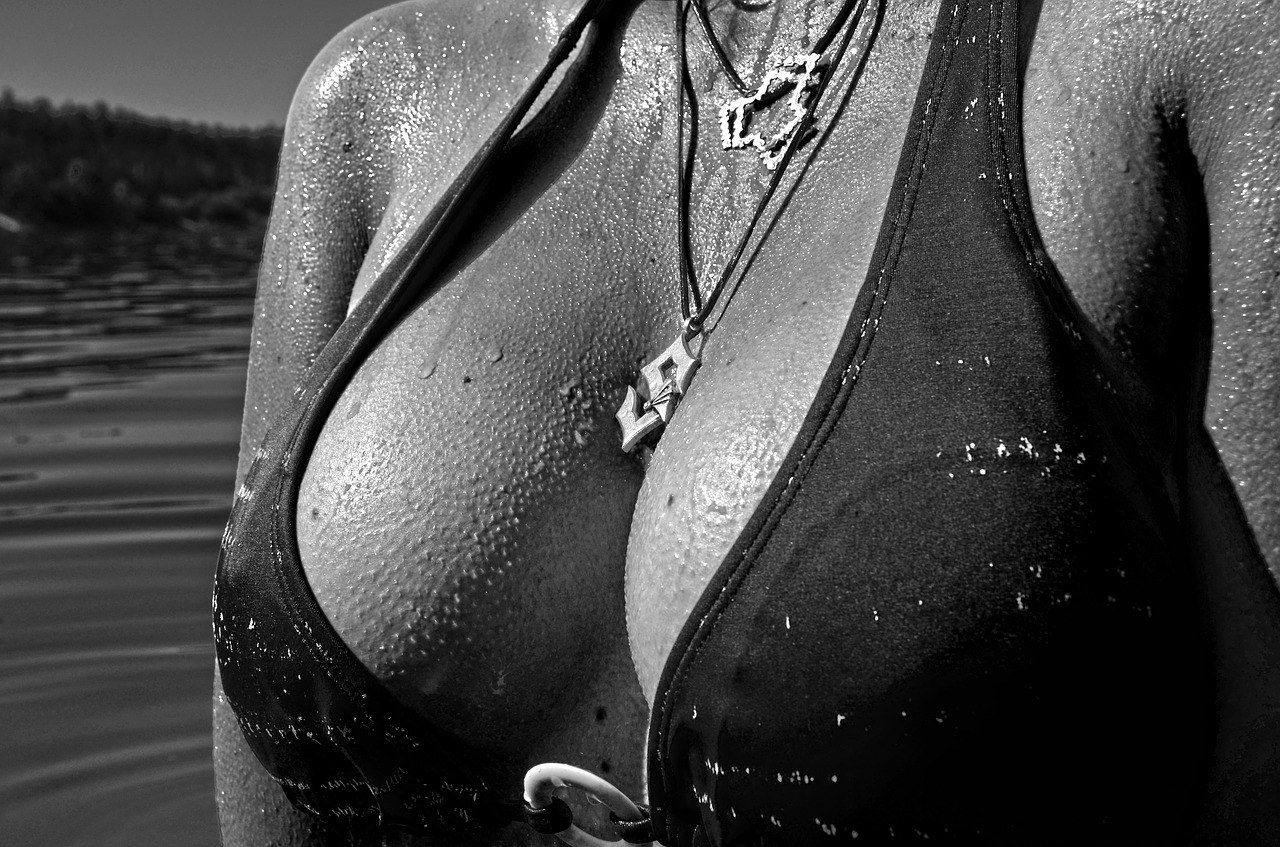 breasts-799889_1280