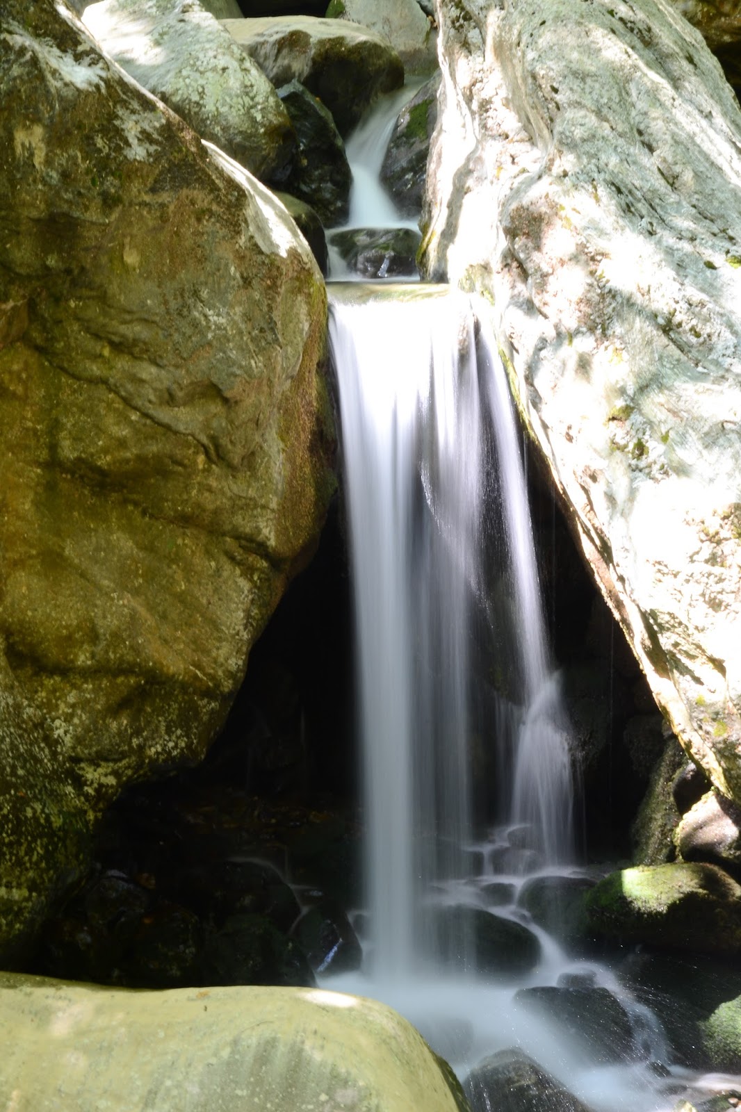 preslicavanje_pelion_pilio_DSC_6785