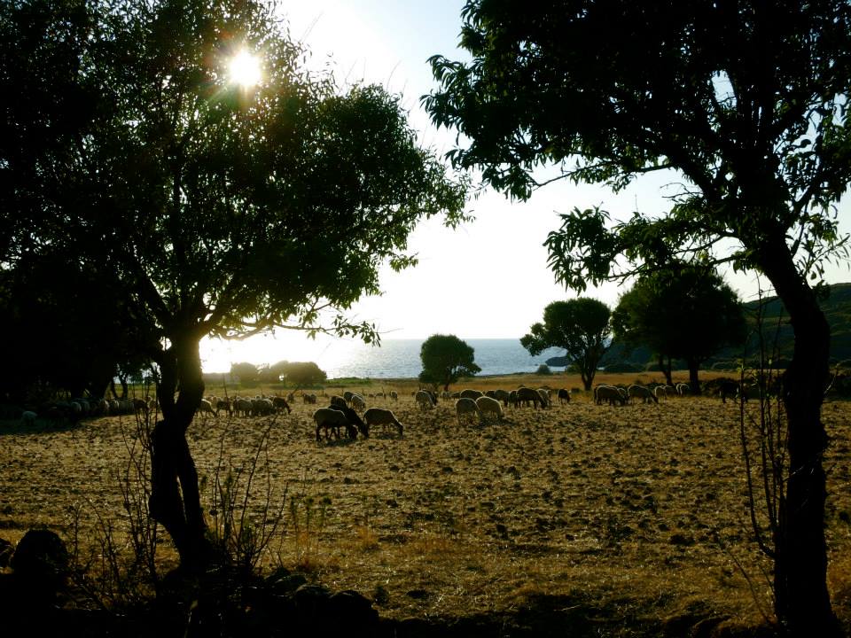 11143096_10153082591382643_8154257347095802769_n