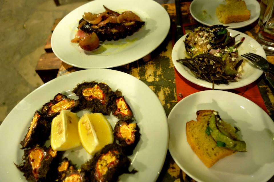 11162507_10153082590922643_8172617503820668011_n