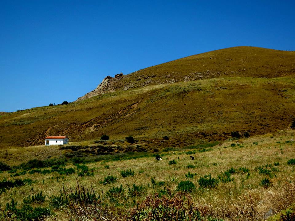 11214189_10153082591032643_1117261079744911218_n