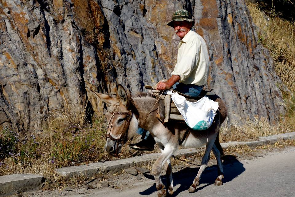 11251883_10153082589892643_3616755776671185000_n