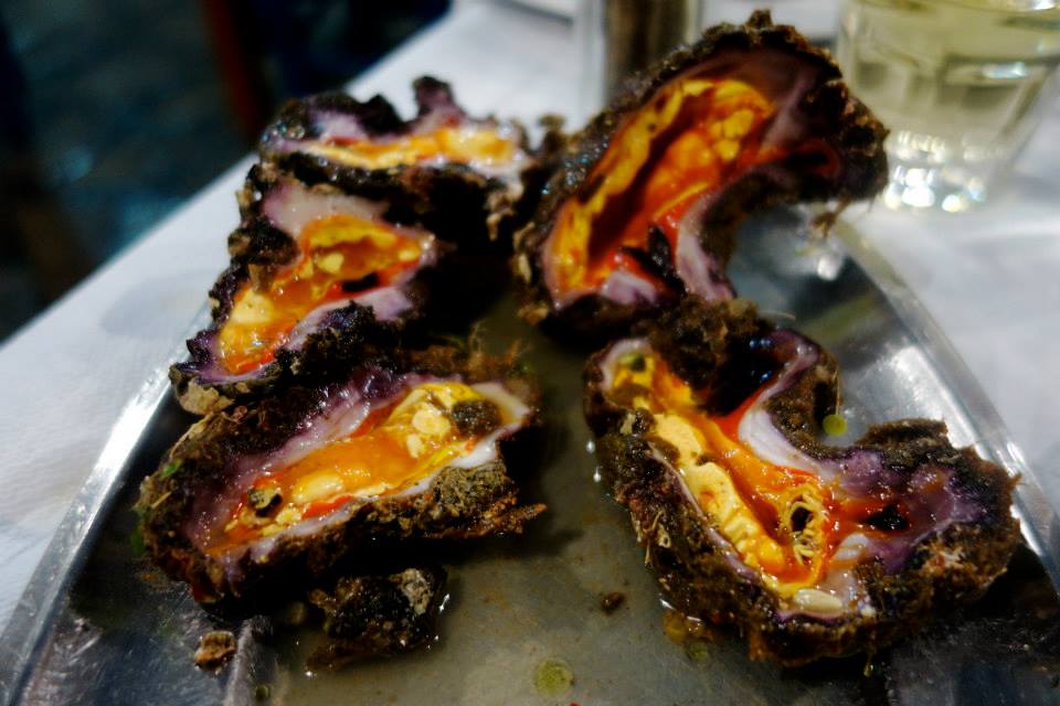 11693856_10153082589617643_5281316640117797075_n