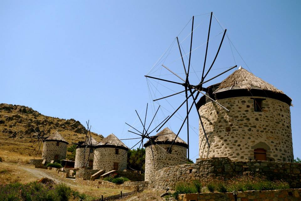 11701206_10153082589212643_7099426286983723289_n