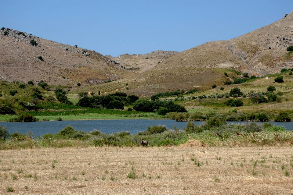 11707471_10153082590332643_469230014124410588_n