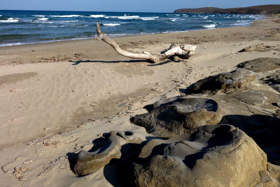 11745436_10153082590852643_7490477304509373699_n