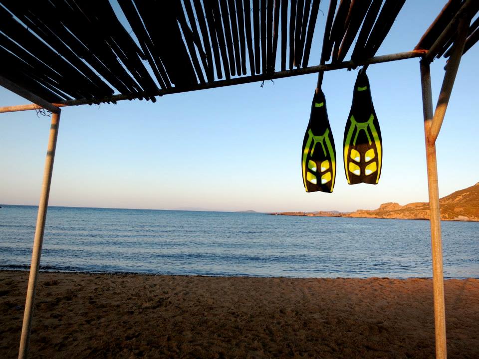 11750630_10153082591802643_7222705287495160540_n