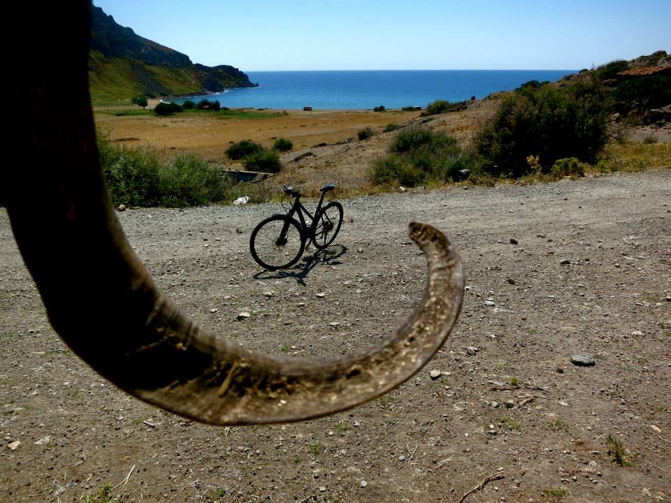 11750631_10153082591372643_7095009088878670446_n