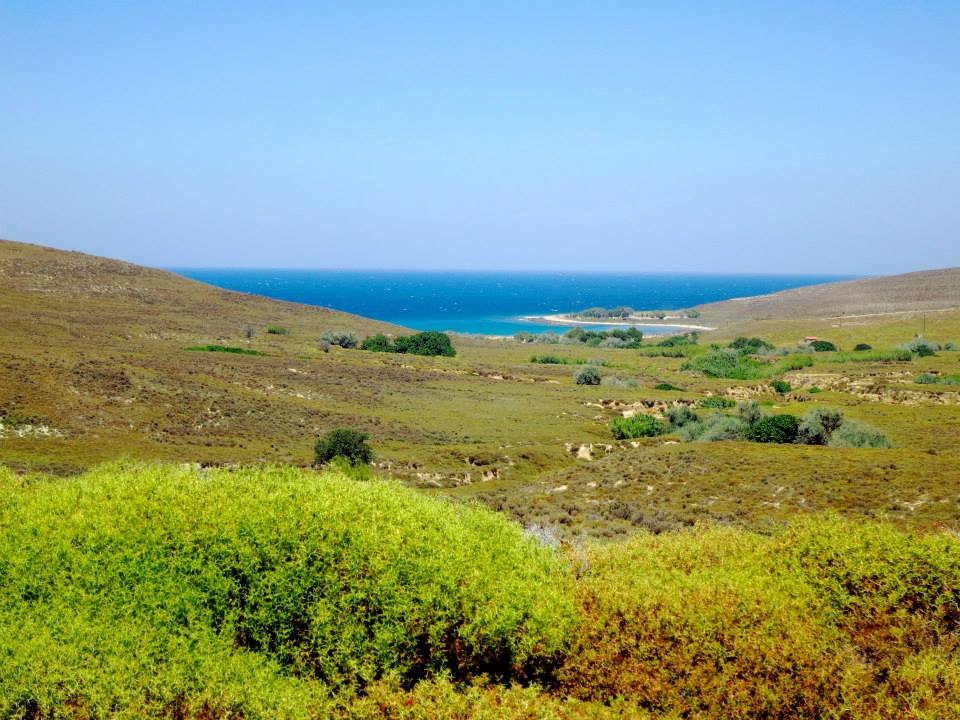 11751786_10153082591987643_5907089180176839634_n