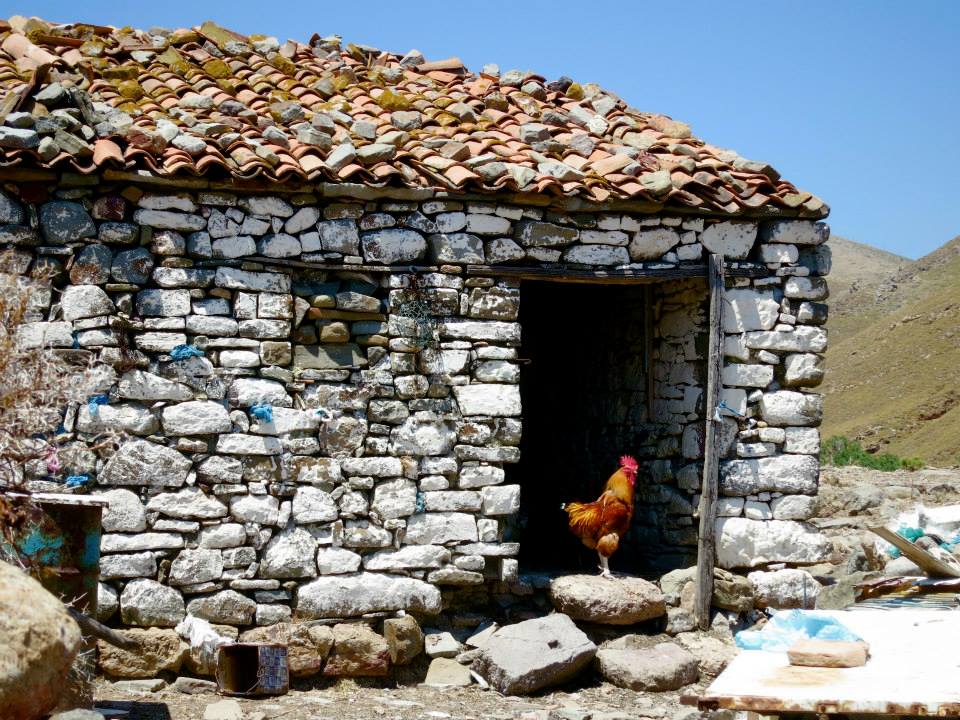 11754257_10153082591087643_5372408580146295385_n