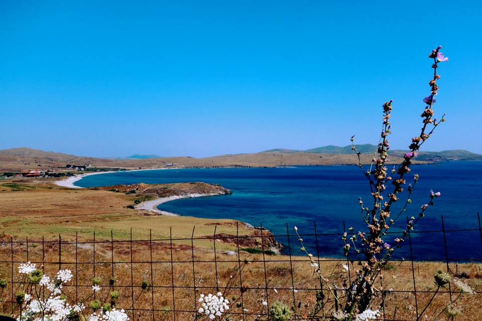 11754265_10153082589222643_3946622431283133947_n