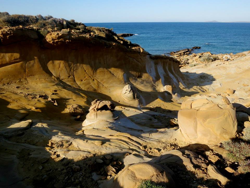 11754265_10153082591697643_6337588706829054618_n