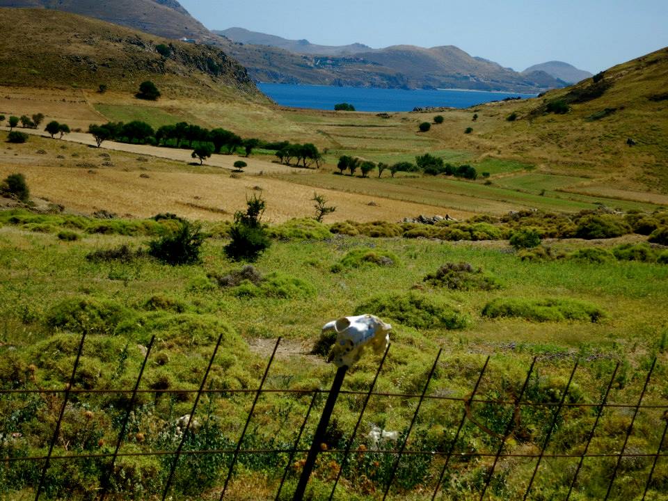 11781890_10153082591262643_4282768057854024993_n