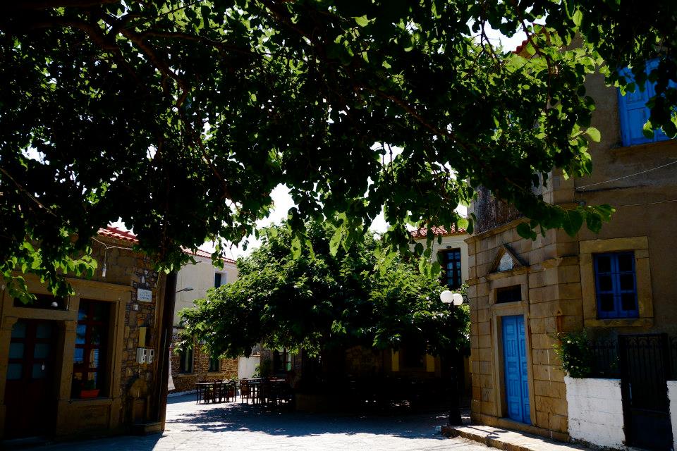 11781892_10153082589412643_9100491975146707672_n