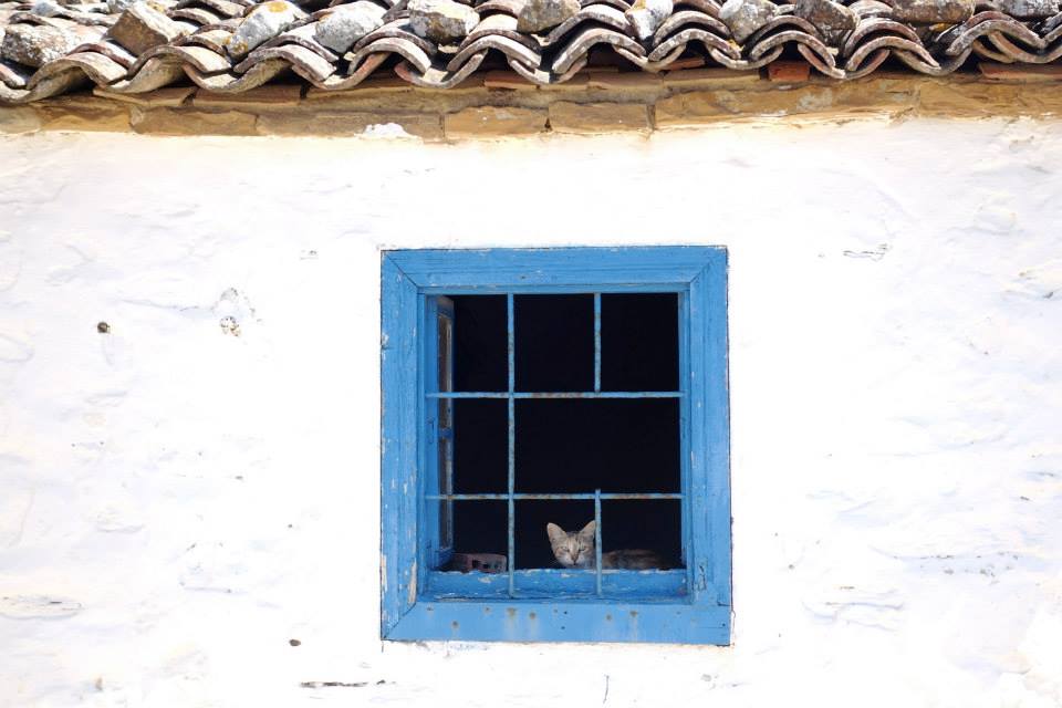 11800080_10153082590452643_7423916717239809213_n