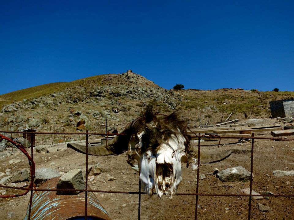 11800298_10153082591302643_2148027094164164021_n