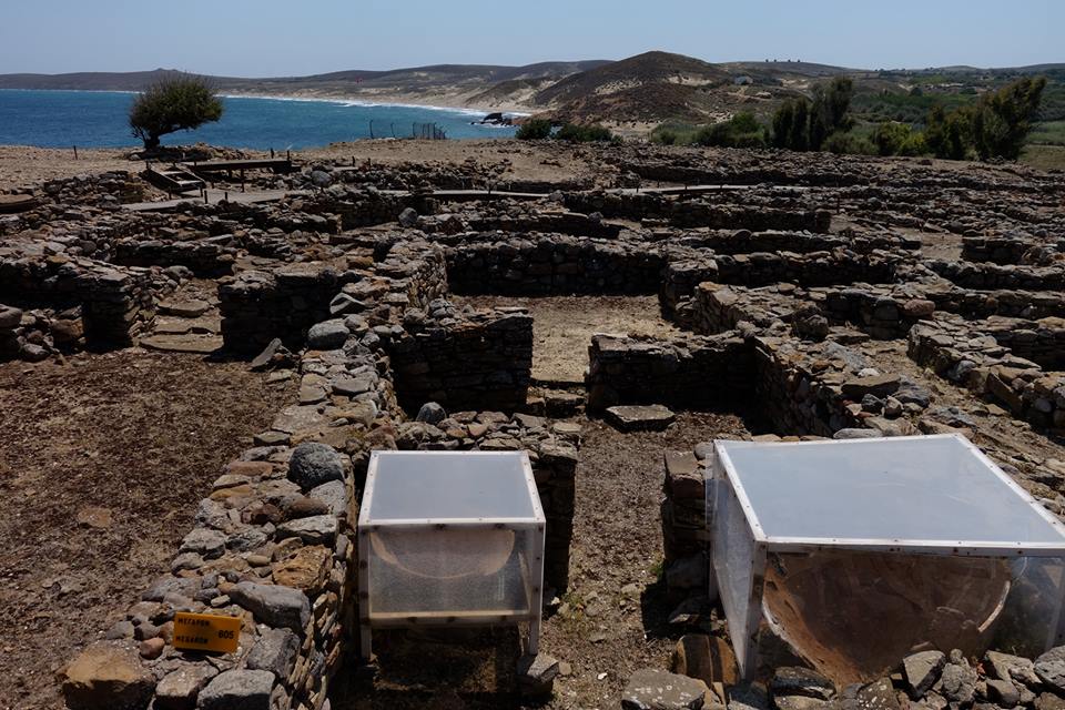 11844107_10153100191732643_10333135_n