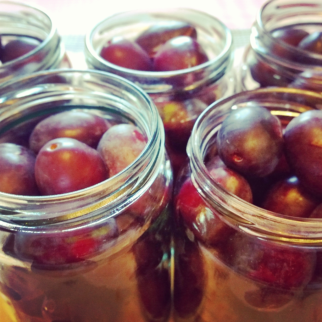 InstagramCapture_c3285995-caf9-40e4-83a0-9a83969a9d38