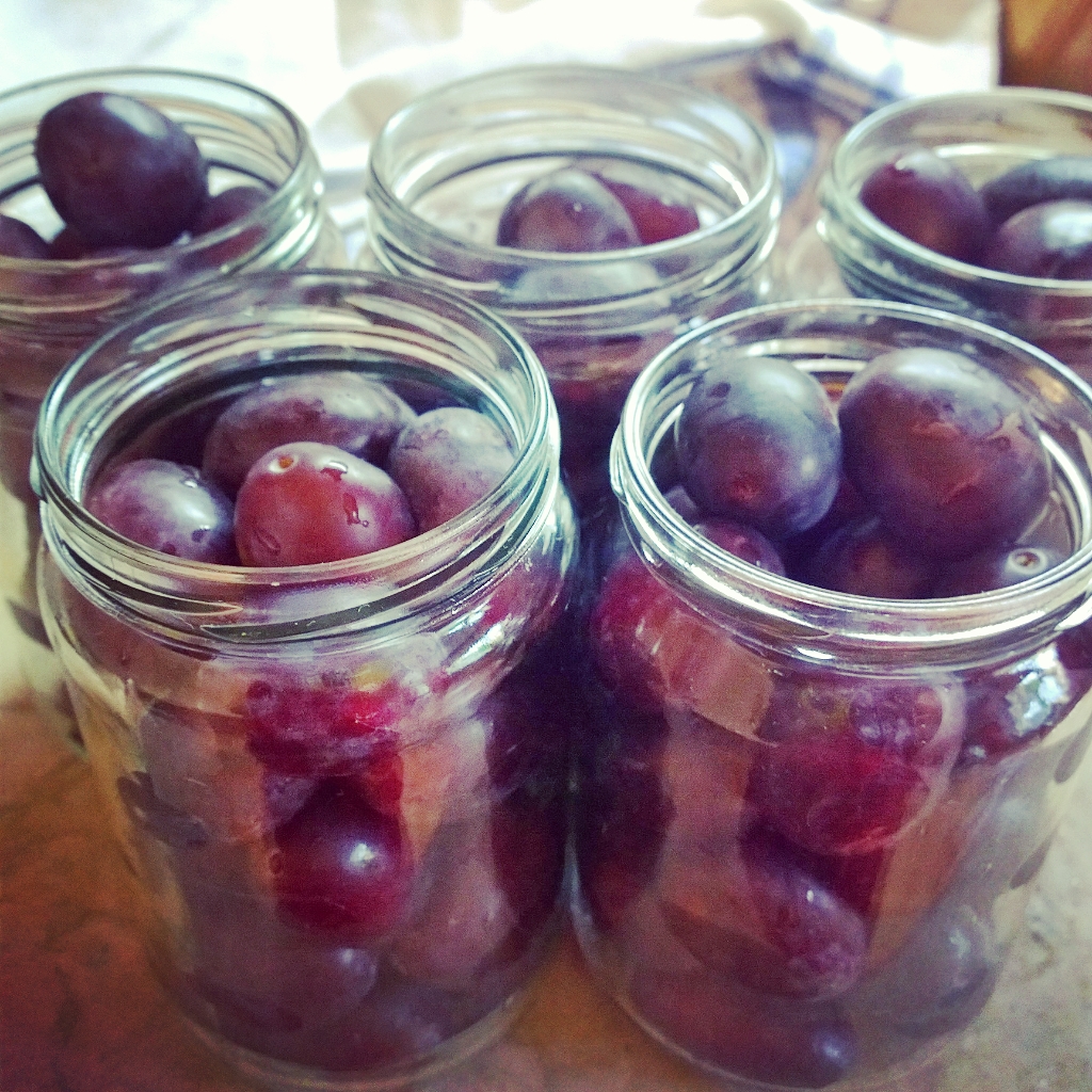 InstagramCapture_dadc8e8d-6716-4f73-a9f9-11b56cafdc19