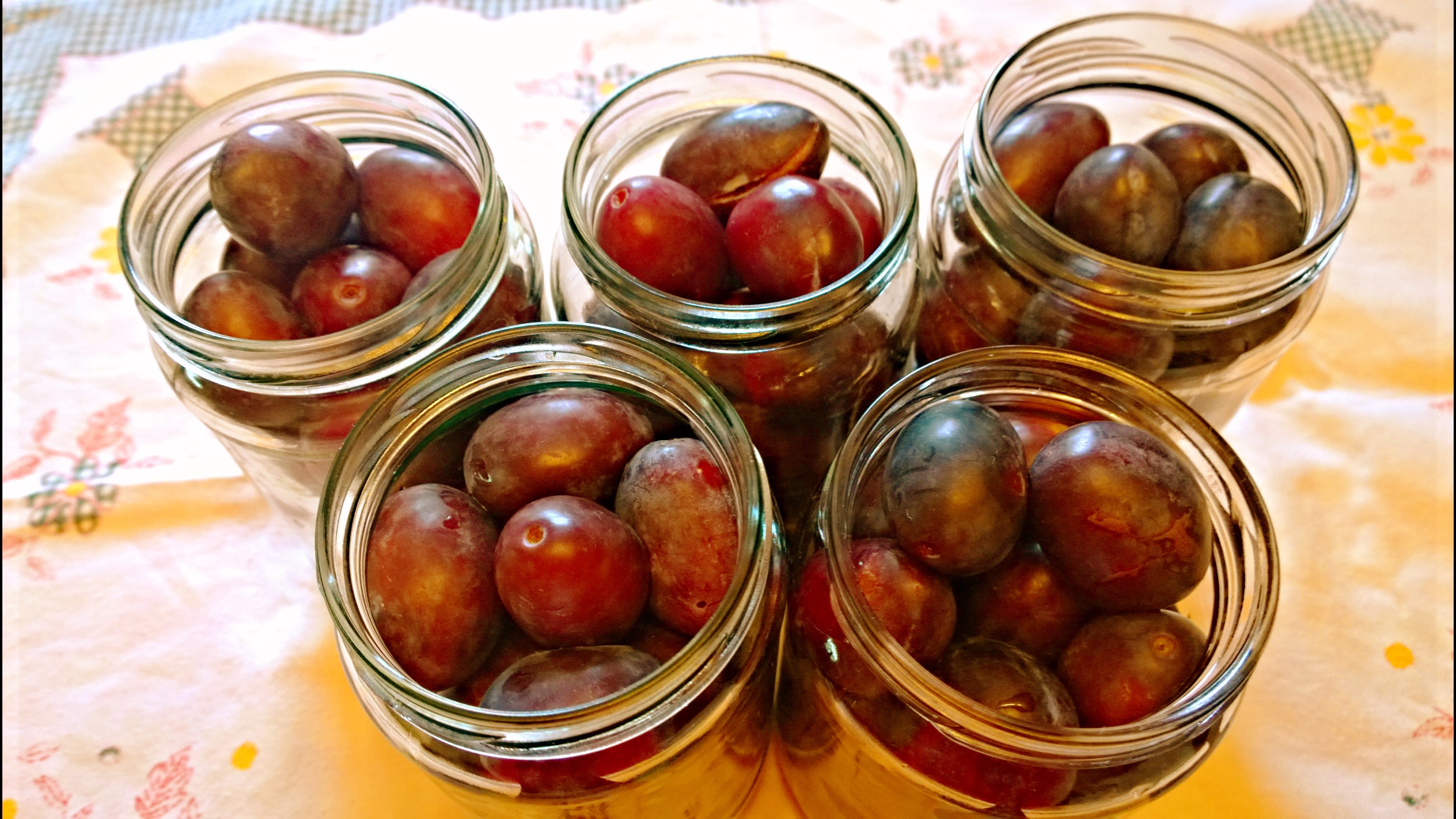 WP_20150814_11_10_13_Pro