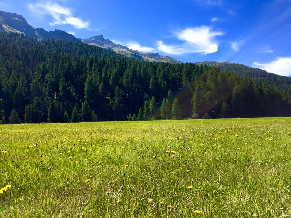 Panorama