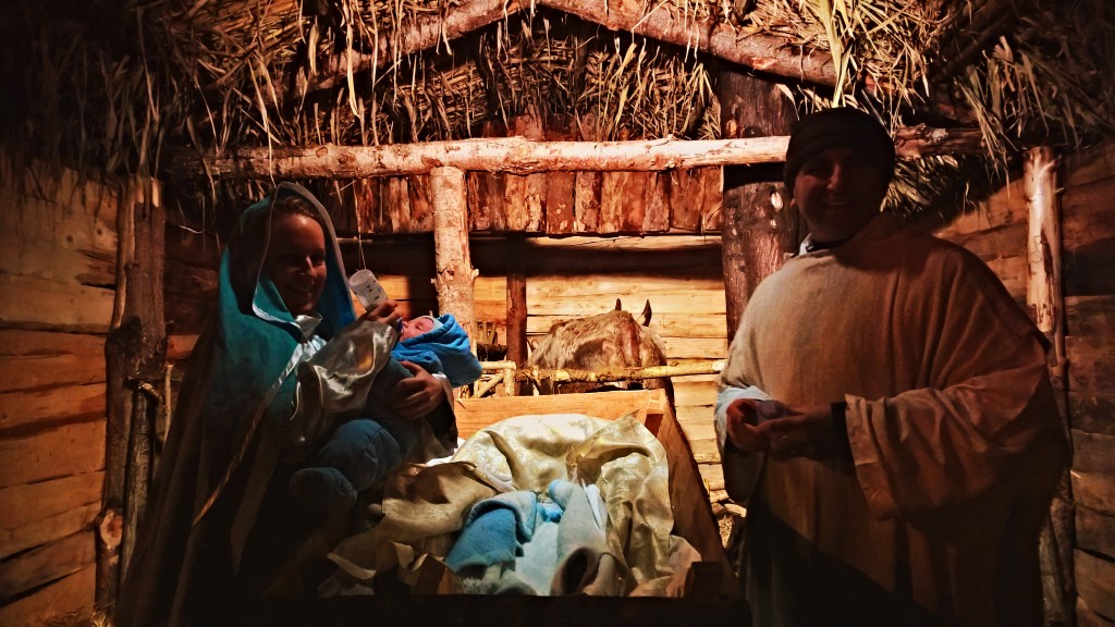 WP_20160106_19_02_22_Pro (2)