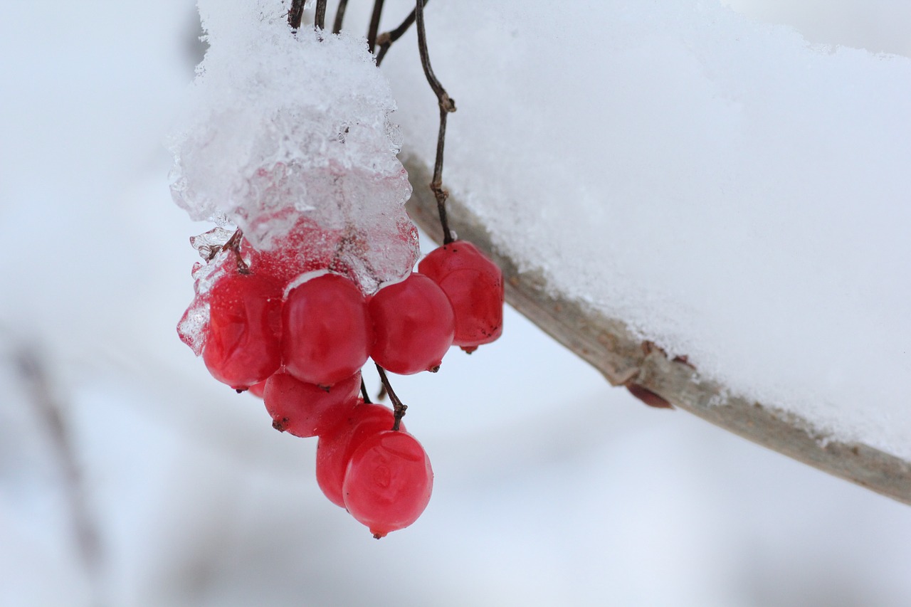 ice-606864_1280