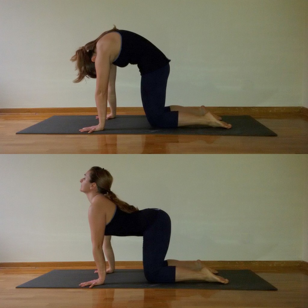 marjaryasana i bitilasana