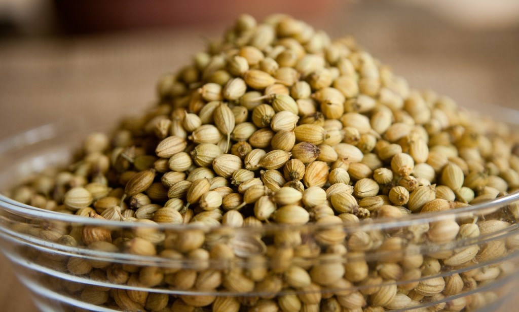coriander-390708_1280