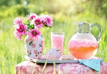 Kućni detoks koji (ne) radi: Istina koju vam niko ne govori