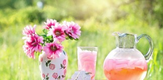 Kućni detoks koji (ne) radi: Istina koju vam niko ne govori