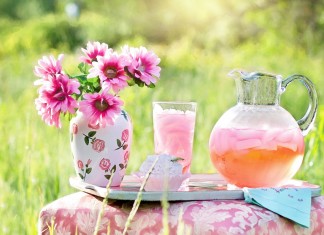 Kućni detoks koji (ne) radi: Istina koju vam niko ne govori