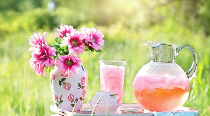 Kućni detoks koji (ne) radi: Istina koju vam niko ne govori