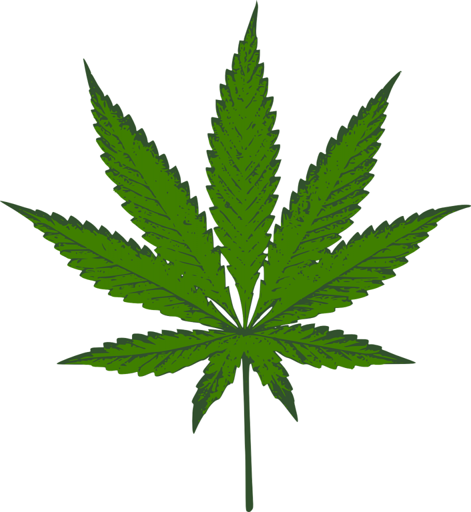 cannabis-303914_1280