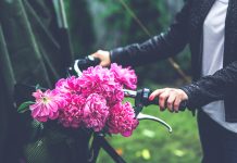 Kako princip privlačenja i odbijanja oblikuje naše partnerske odnose