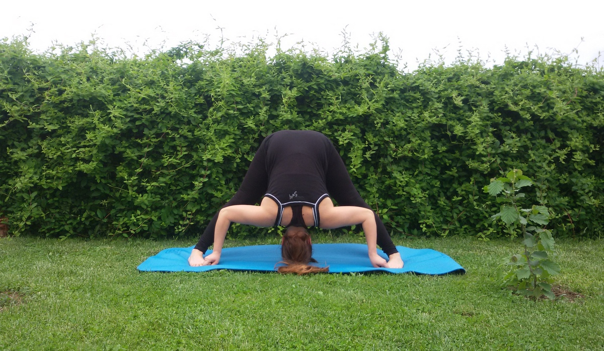 prasarita padotanasana