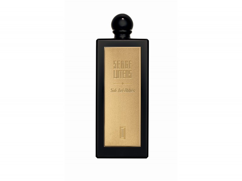 Sidi-Bel-Abbes-800x599