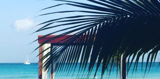 Maja Vučićević: Moja meksička avantura