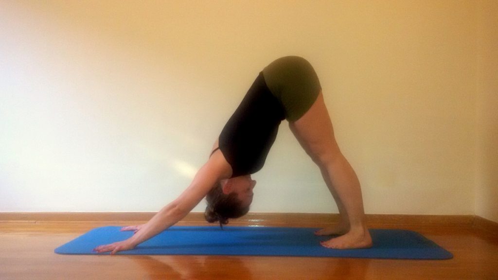 adho mukha svanasana