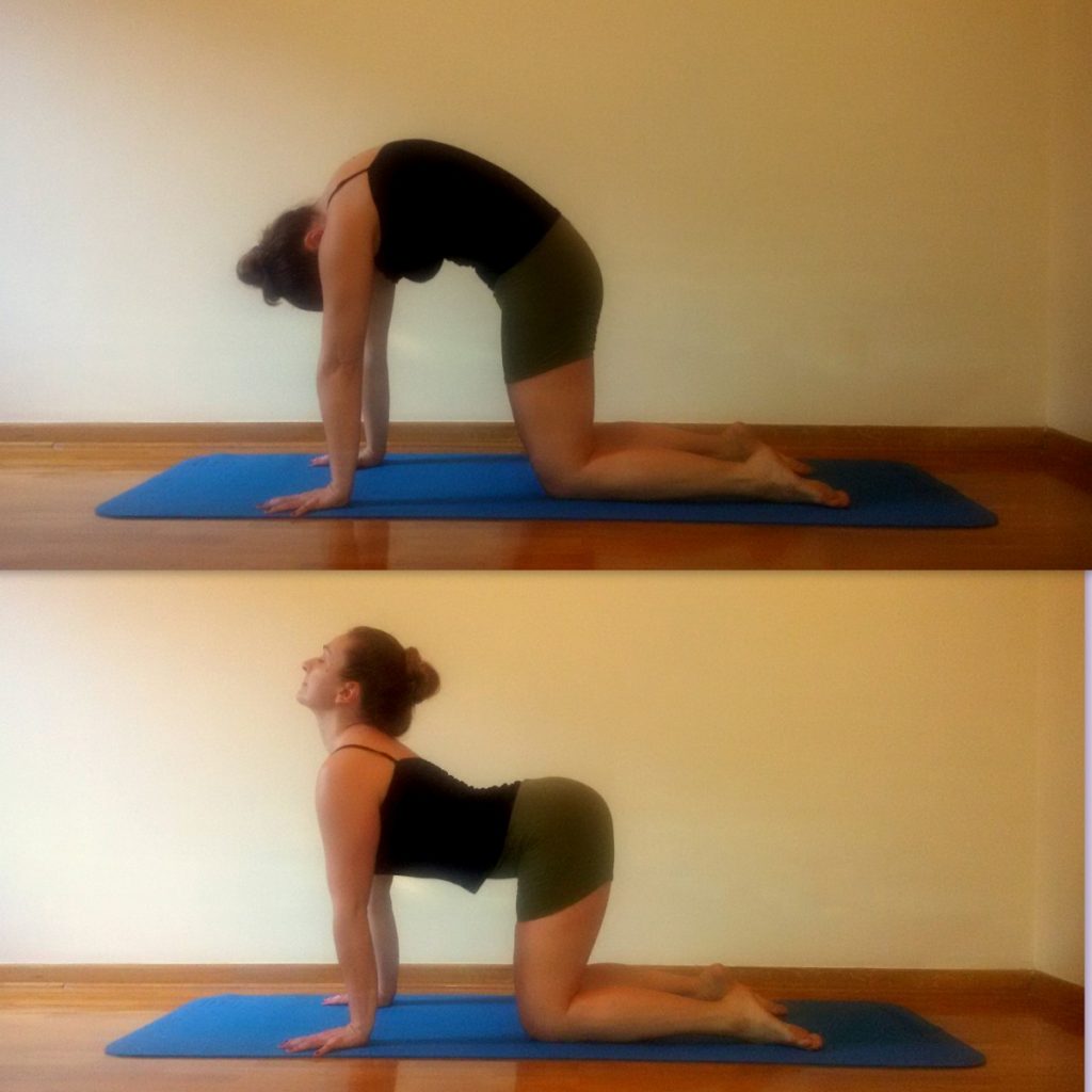 bitilasana i marjaryasana