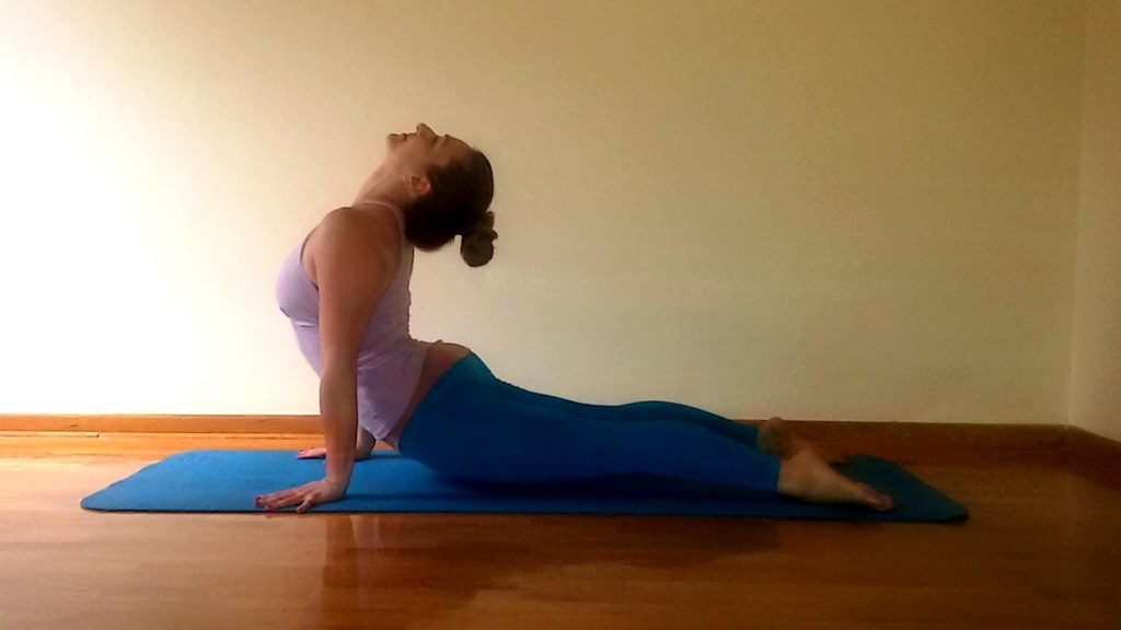 urdhva mukha svanasana