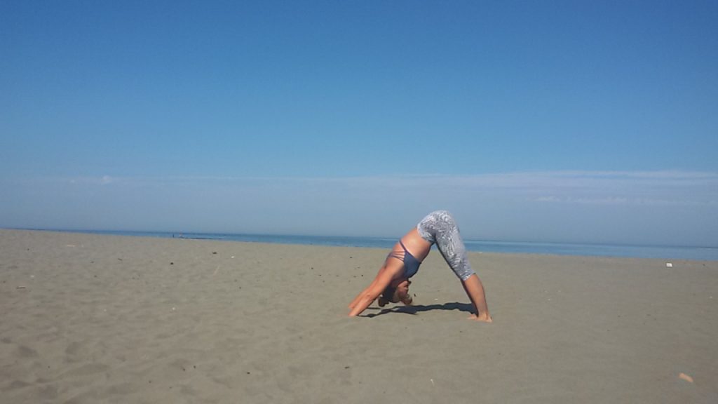 13932258_1095189947215306_1234503813_o