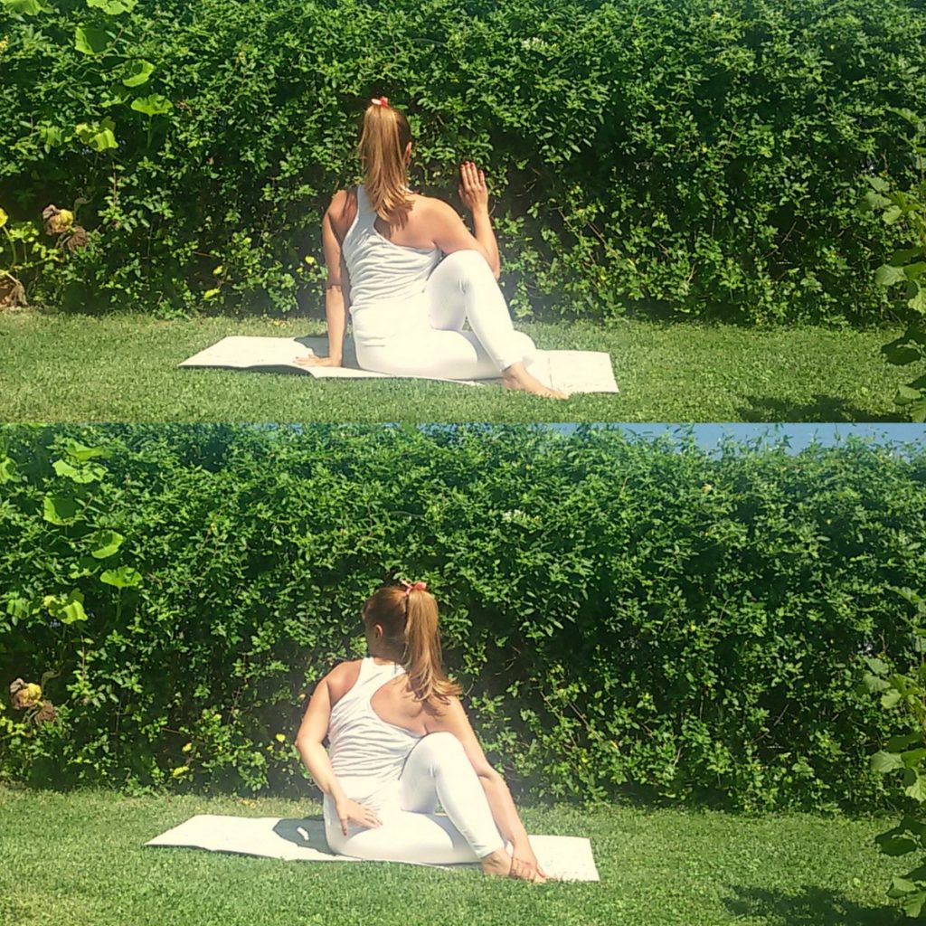 ardha matsyendrasana