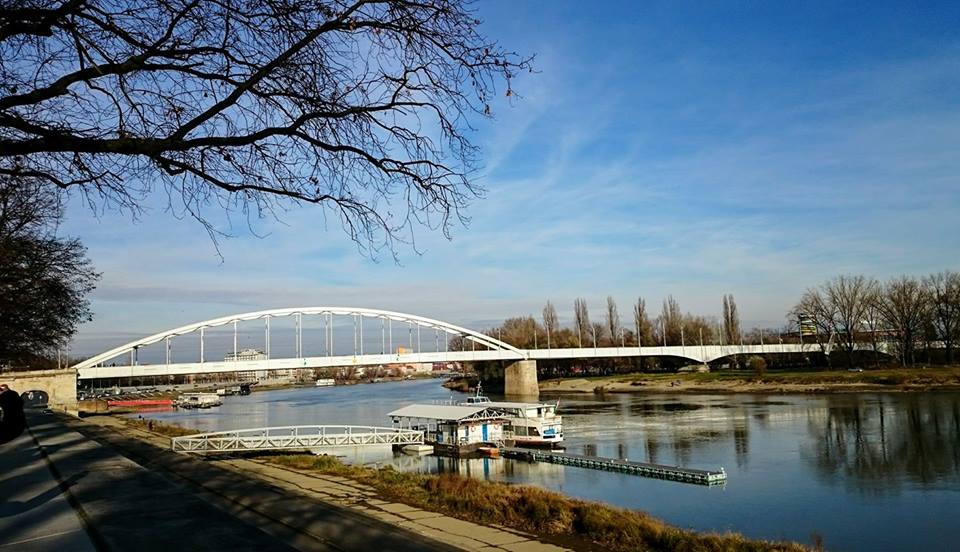 Sunčani decembarski dan na Tisi, kao na nekoj zaboravljenoj slici holandskih majstora 17. veka.