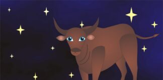 Astrologija: BIK godišnji horoskop 2019