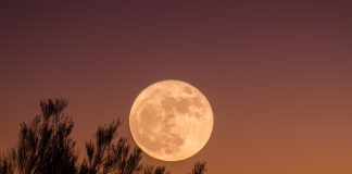 Kineska tradicionalna medicina o uticaju PUNOG MESECA