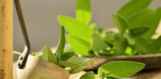 Kako da očistite svoj dom tokom punog Meseca radi boljeg protoka energije