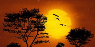 Pun Mesec u Lavu 1. februara otkriva da je vreme da otpustite: Ritual koji čisti srce i vraća snagu