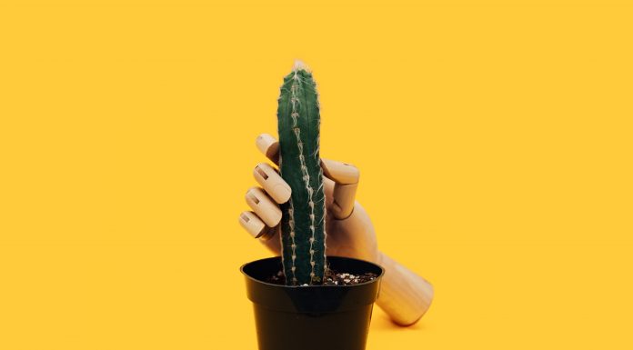 Farmaceutski seks: Šta ti niko ne govori o lekovima i strasti